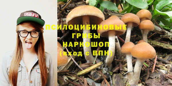 a pvp Киреевск